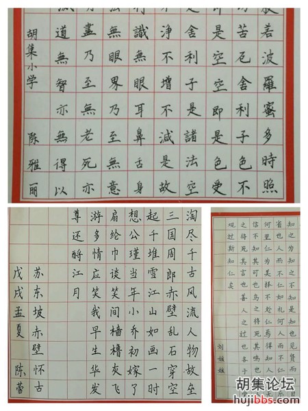 胡集小学青年教师钢笔书法