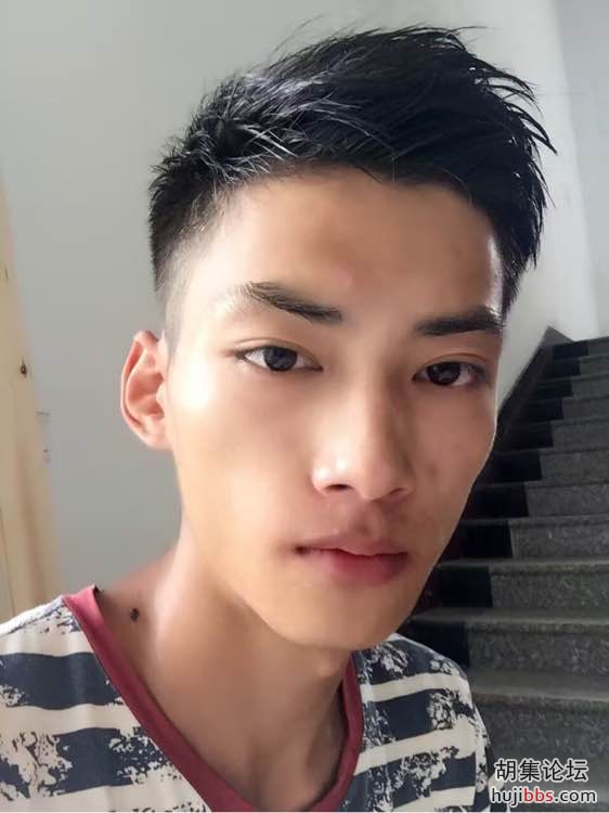 胡集邹健