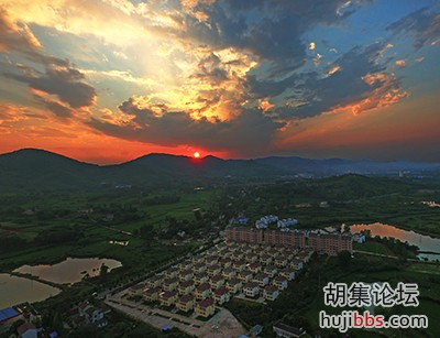 DJI_0115.jpg