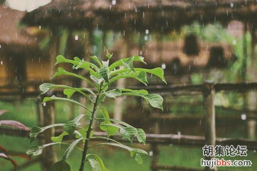 a0704f3c63b2231b0c17c83da71e7bb6.jpg
