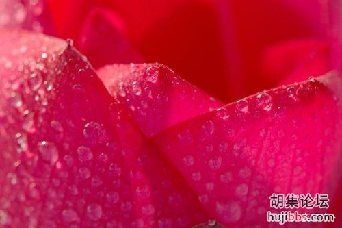 790022b88ce9d2bc154074ce45dd0db3.jpg