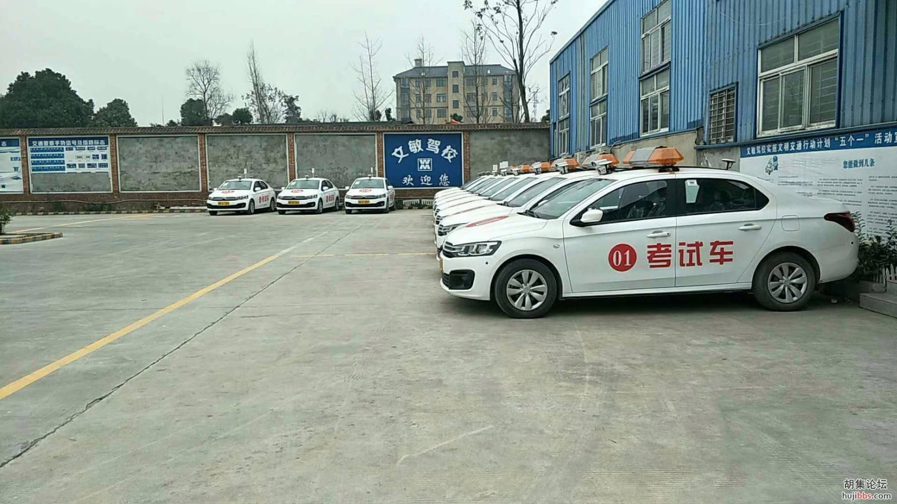 mmexport1552405375762.jpg