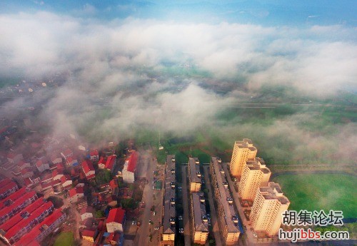 -65c9a23d6d2e7023.jpg