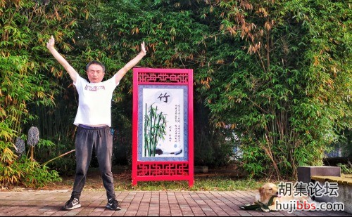 晨