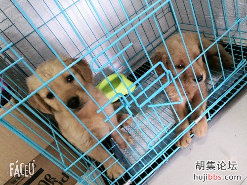 faceu_0_20190629130532.jpg