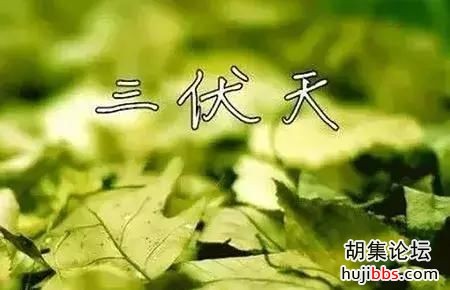 t01c5b414660a858be6.jpg