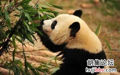 153730cqkkgqwl5g5mqv55.jpg