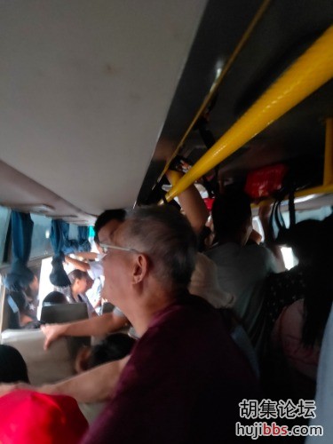 IMG20190808062653.jpg