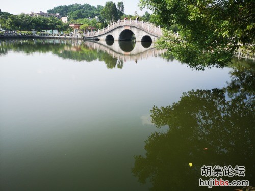 IMG_20190908_092959.jpg