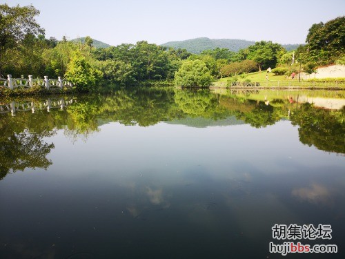 IMG_20190908_093139.jpg