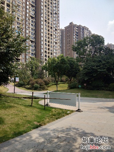 IMG_20190902_112008.jpg
