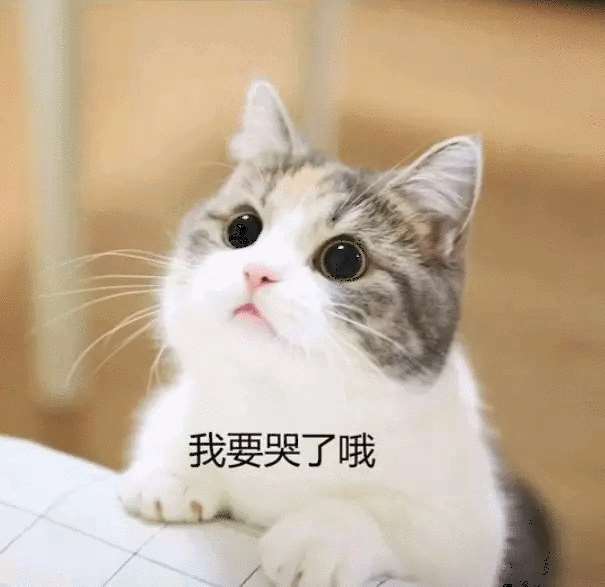aa718bee7bb445a998ba69482b582ae1.jpg