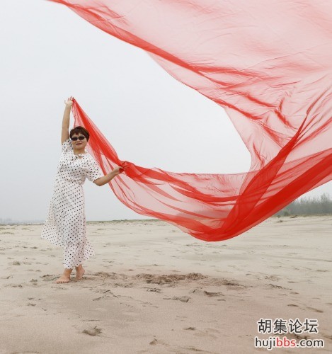 胡集风景吸引众多摄影家