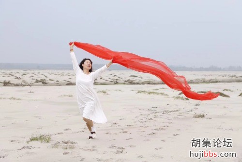 胡集风景吸引众多摄影家
