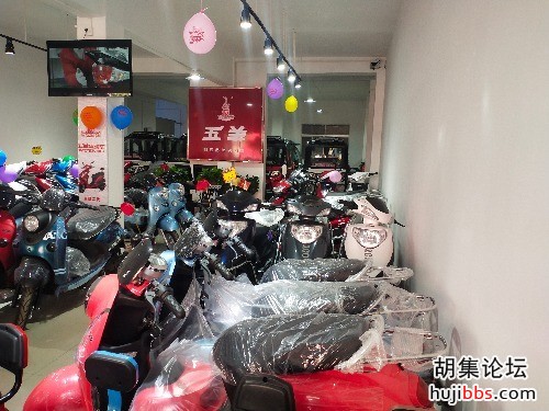 111452psjy8qyjjms8jmis.jpg