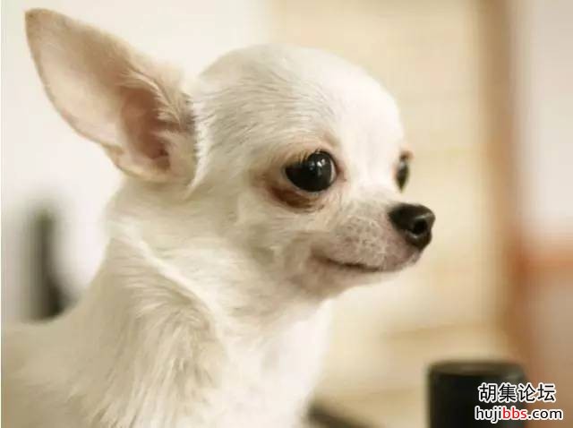 wechat_upload15733088685dc6c9c422705