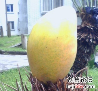 wechat_upload15733861655dc7f7b55a871