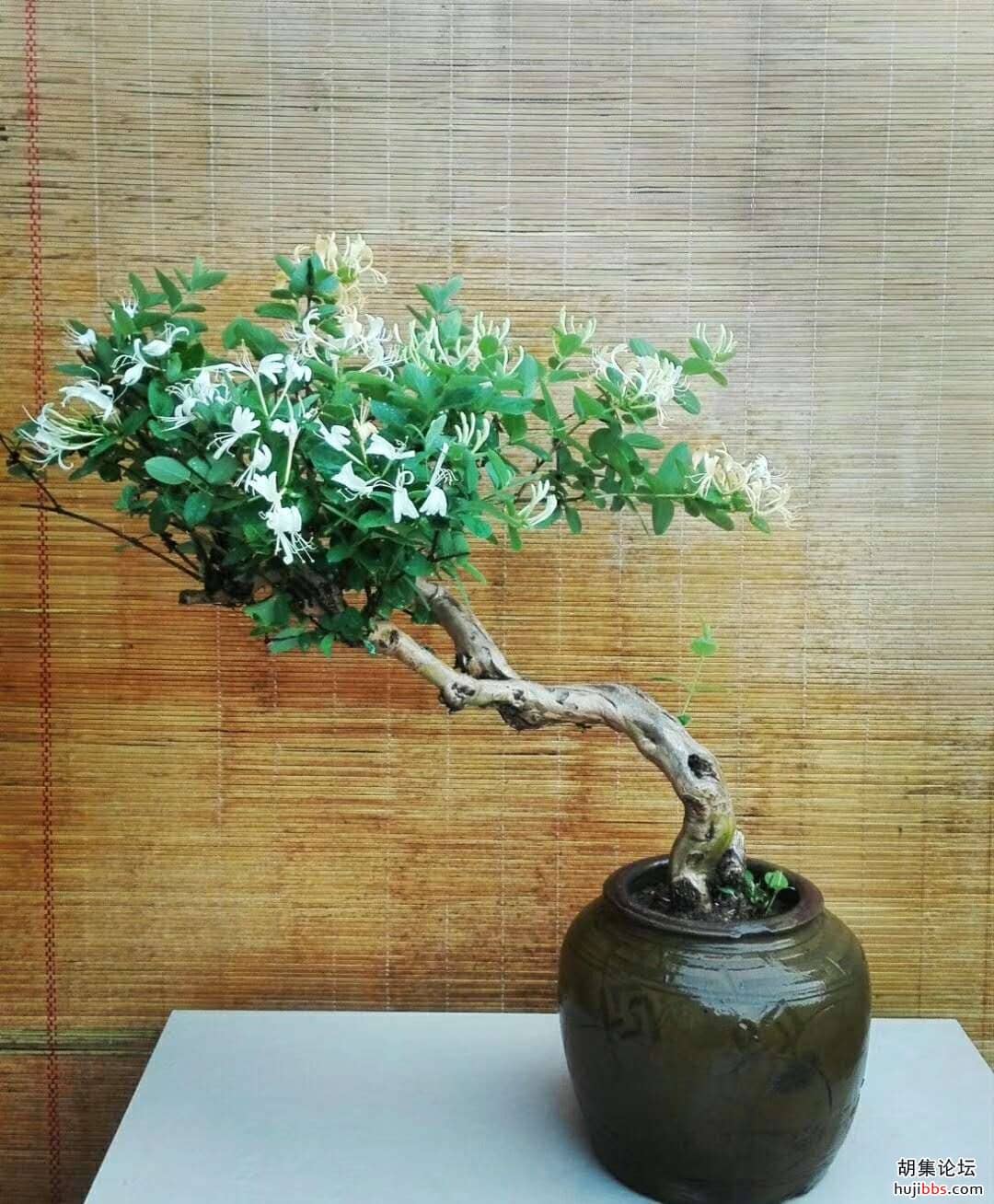 wechat_upload15812525195e3fffa7175c2