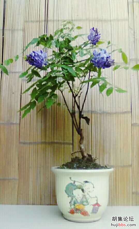 wechat_upload15812525315e3fffb34fc1c