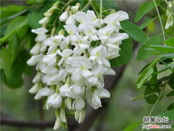 wechat_upload15816672575e4653b95d8d0