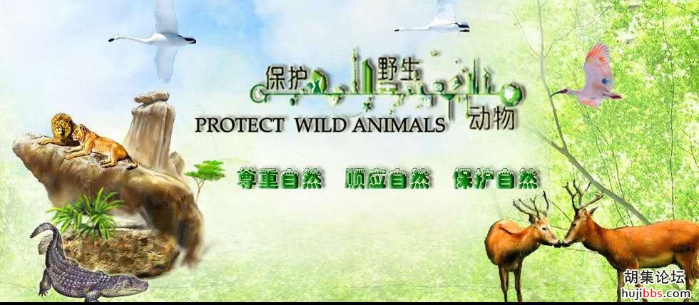 【胡集娃子优秀习作】“全民战'疫'童谣共创”作品选（一）