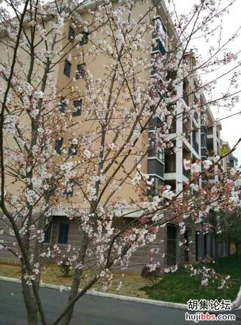 wechat_upload15834888445e621f4ce4ee0