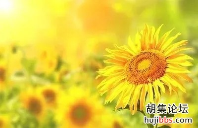 wechat_upload15844496805e70c89011d49