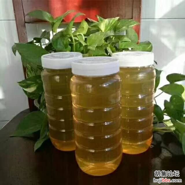 wechat_upload15848721155e773ab347341
