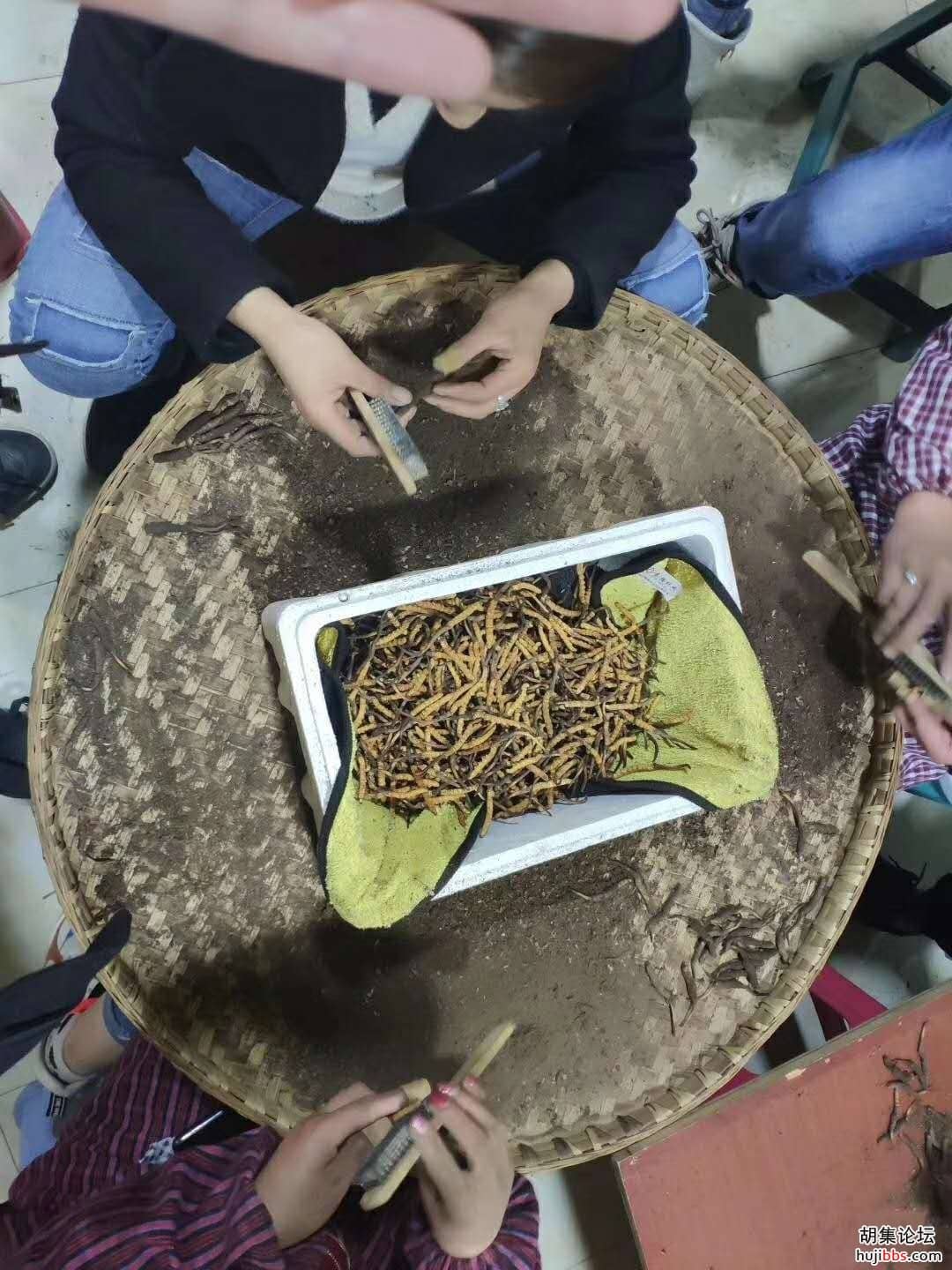 wechat_upload15870422245e9857b030b33
