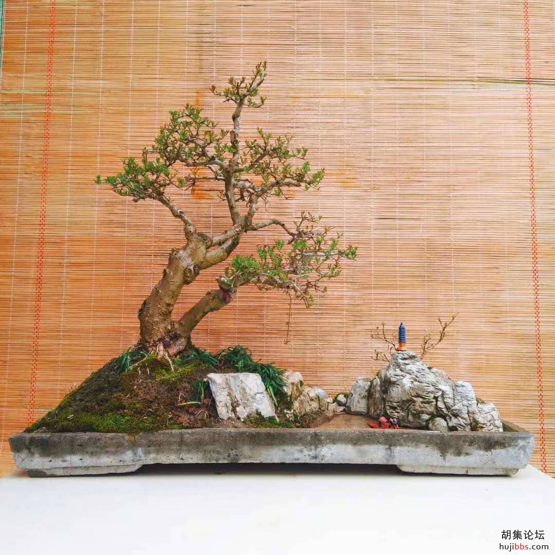 wechat_upload15875636375ea04c7511ff1