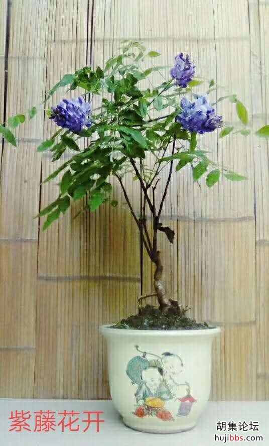 wechat_upload15876370415ea16b31212d2