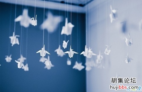 42c764cdd81d6f87df1336f43936a244.jpg