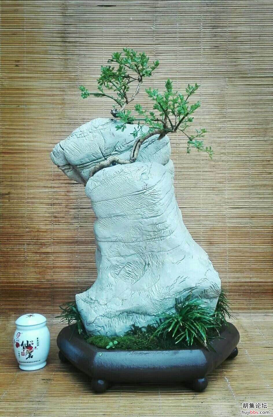 wechat_upload15880767965ea820fc2fe79
