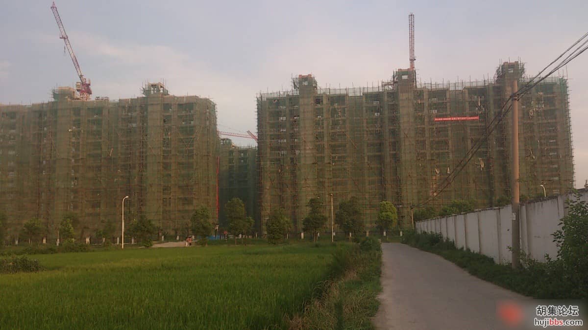 203538wezkuk39onklk2k9.jpg