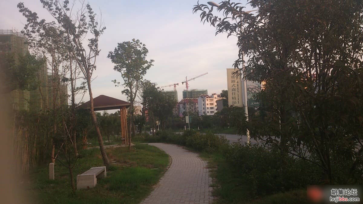 203744wl9zqh5ss1kkpqok.jpg