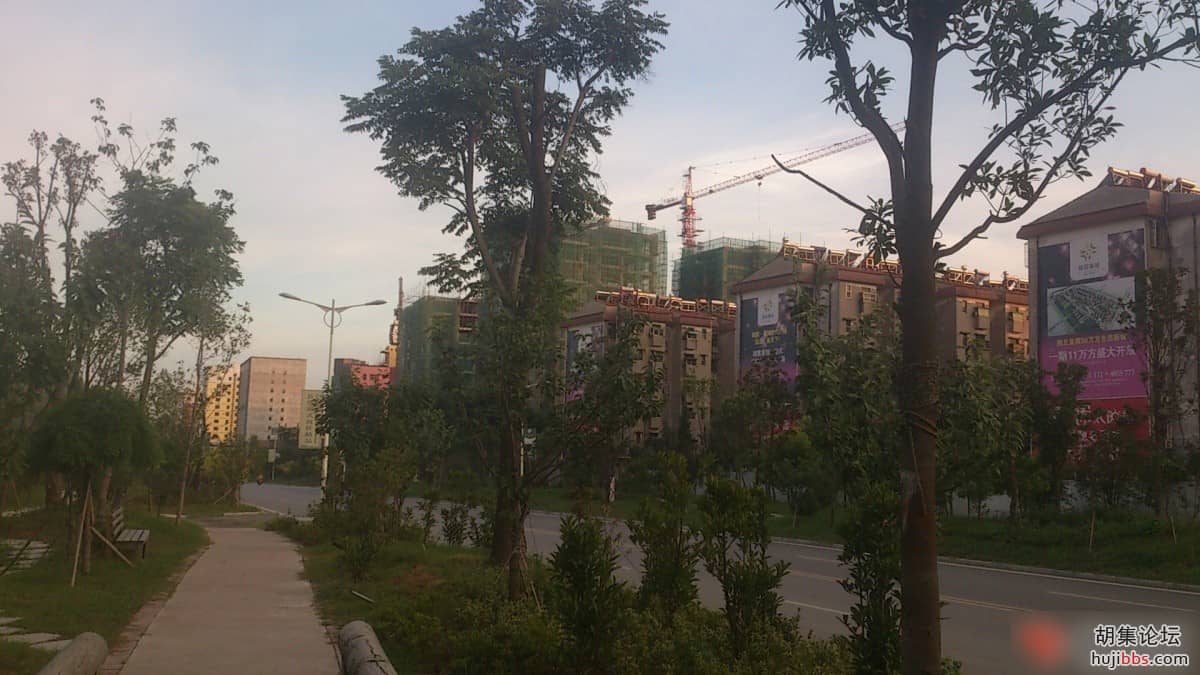 203751majib6dkeibf80jr.jpg