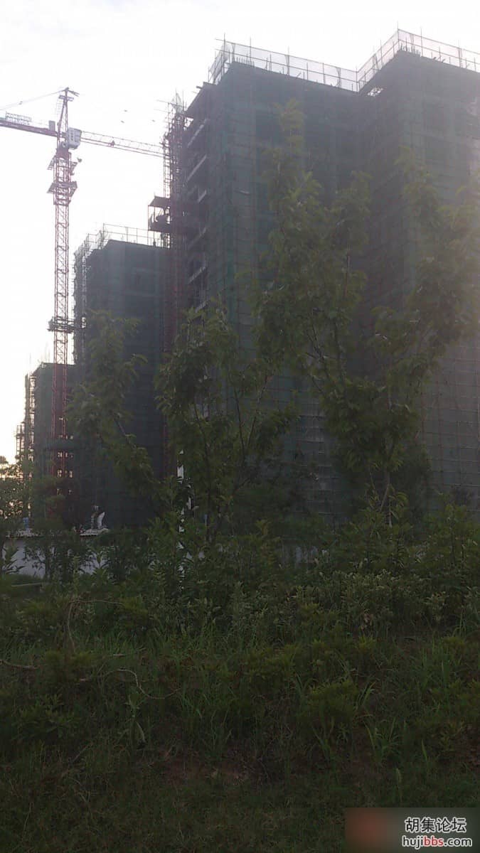 204104cvkuu831020vqkuq.jpg