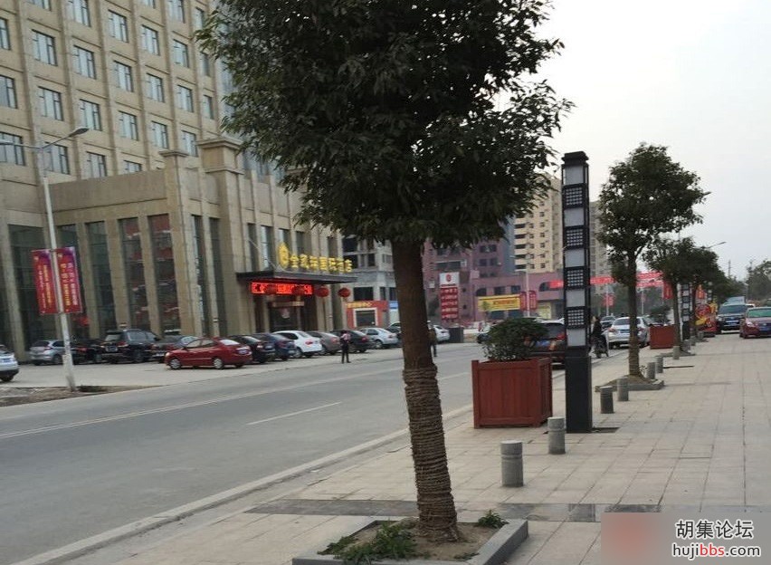 222958uqgegtimm986de10.jpg