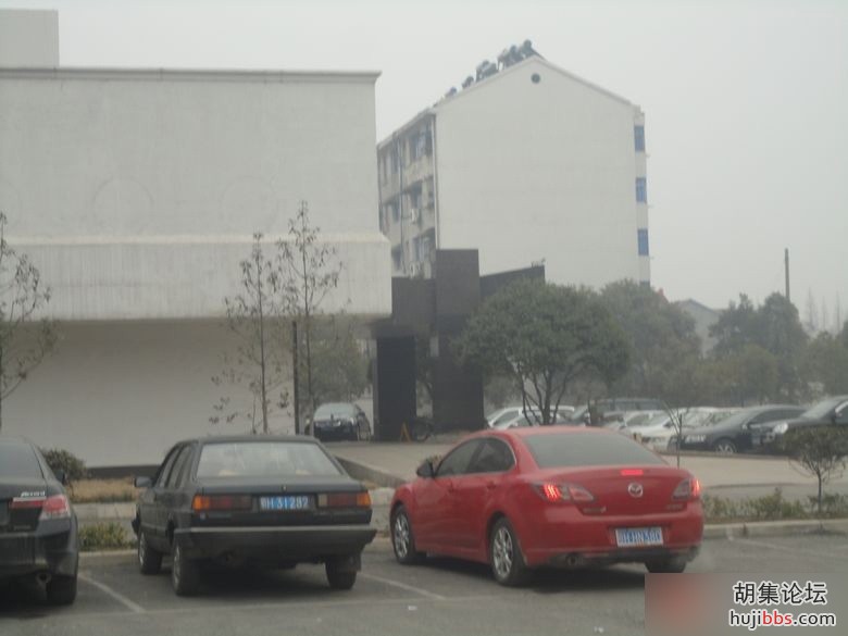 125812dhjm97jlx9cxhmqc.jpg