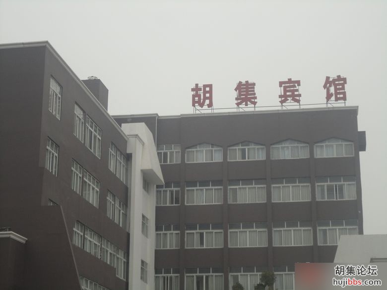 125809x5227hts8esbt12z.jpg
