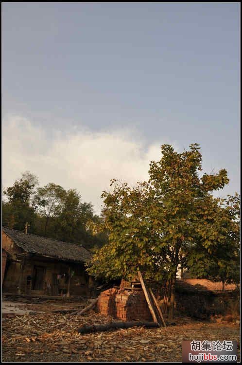 091201qcfq5ohzmdzhi7qo.jpg