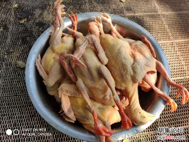 wechat_upload15887786635eb2d6a772608