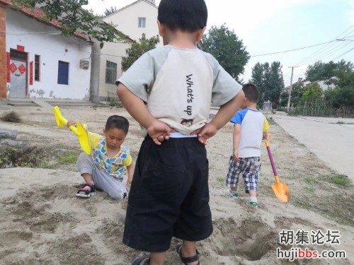 这里是胡集