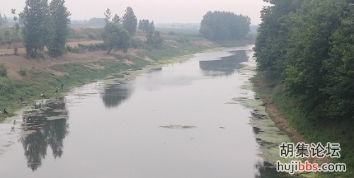IMG_20200524_103717.jpg