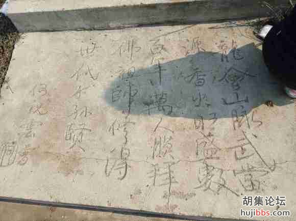 胡集镇龙会山