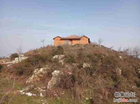 胡集镇龙会山