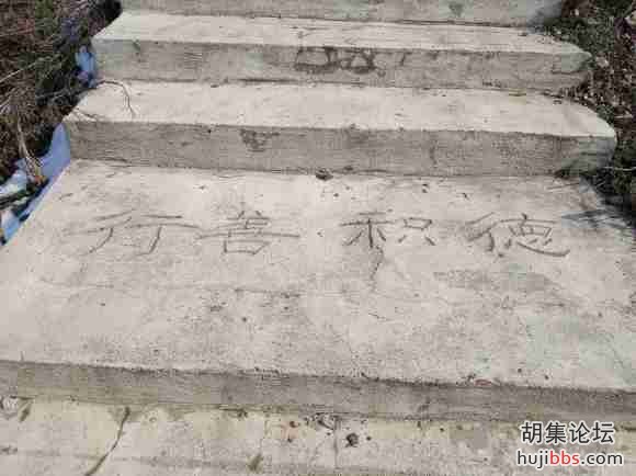 胡集镇龙会山