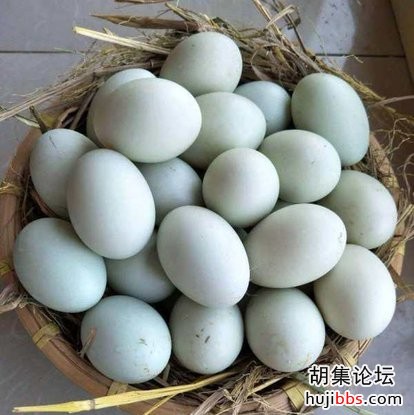 wechat_upload15911416765ed6e52cb9634