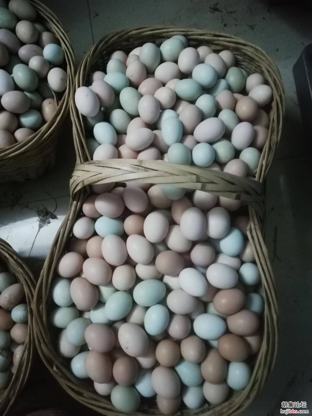wechat_upload15911417345ed6e566665b6