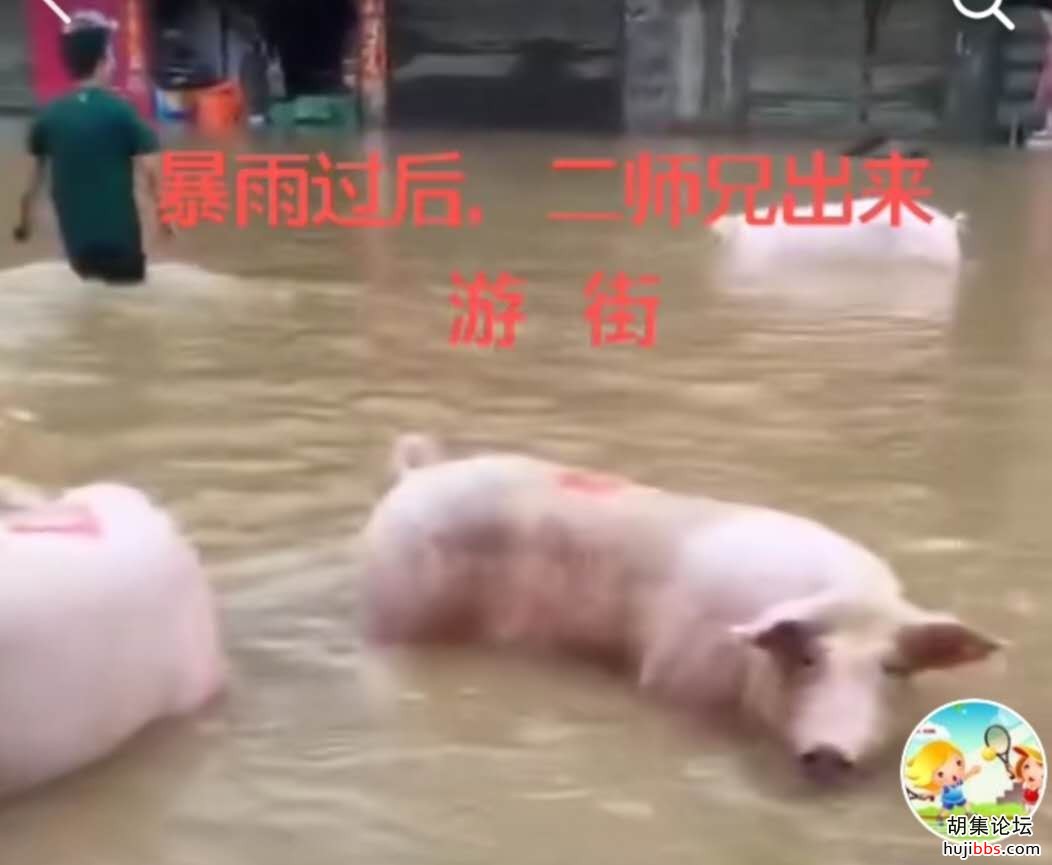 【李睿文学】青   紫